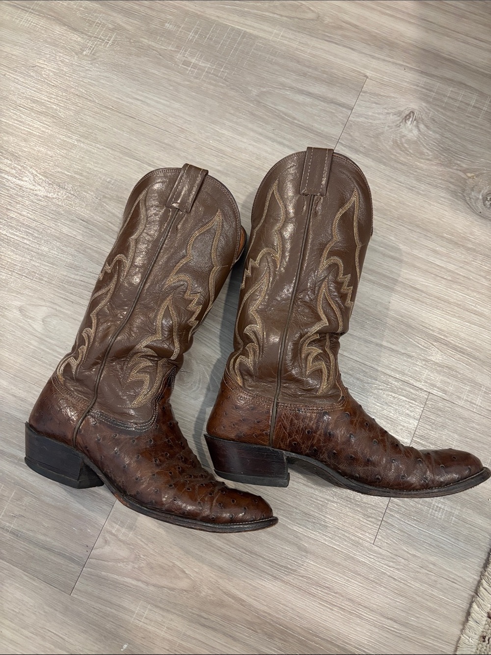 Nocona Brown ostrich cowboy boots